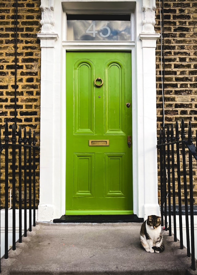 daniil-korbut-4snLvMsHCvE-unsplash Cat sitting outside a lime green front door